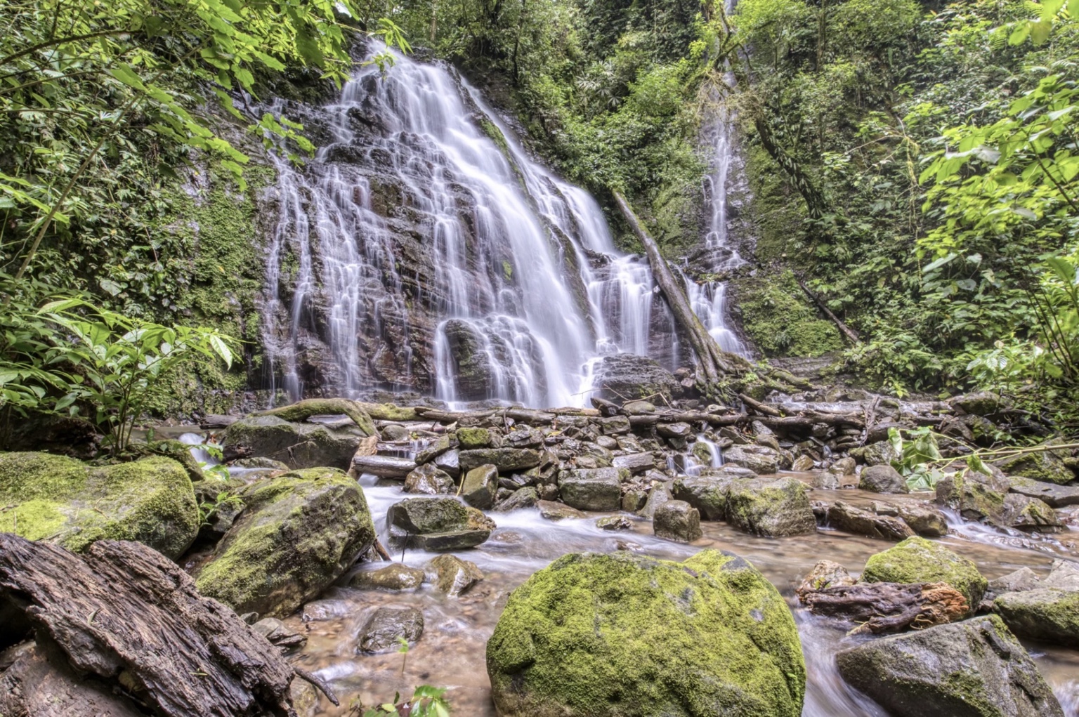 Cascada que fluye entre la selva tropical